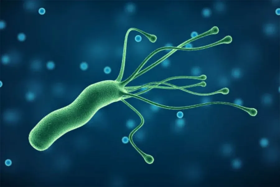 Stomach Bacteria (H. pylori): Causes, Symptoms and Treatment