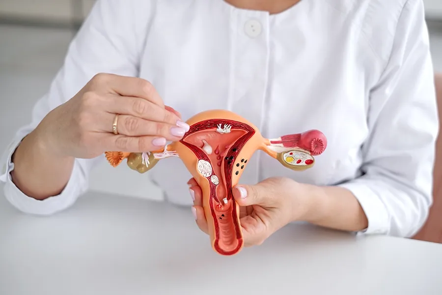 Vaginal Laxity: Surgical and Non-Surgical Treatment Options