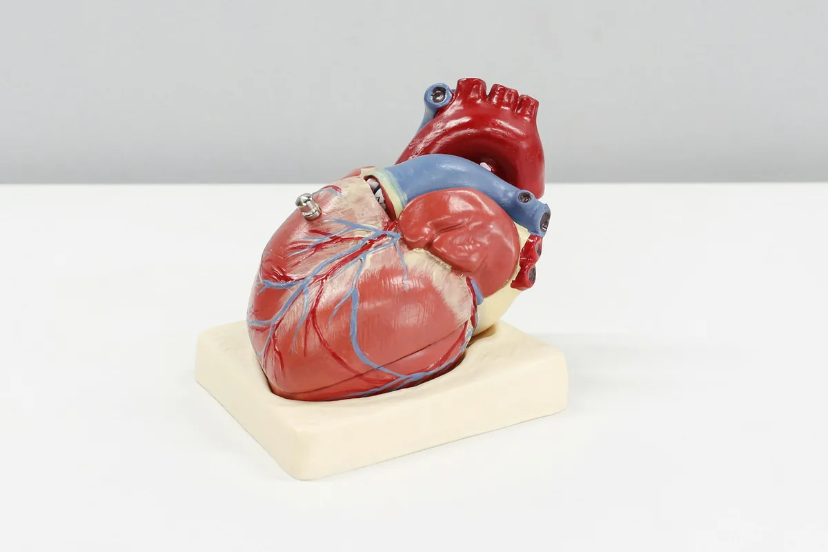 Cardiology clinical care in Qatar