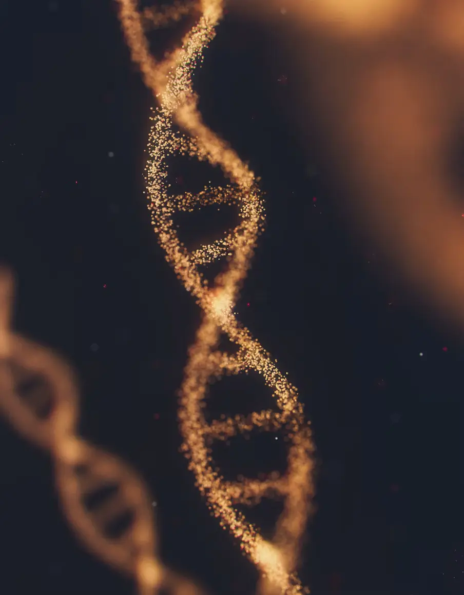 Genetics & DNA Testing Genetics & DNA Testing service at Almahmoud Medical Group in Qatar