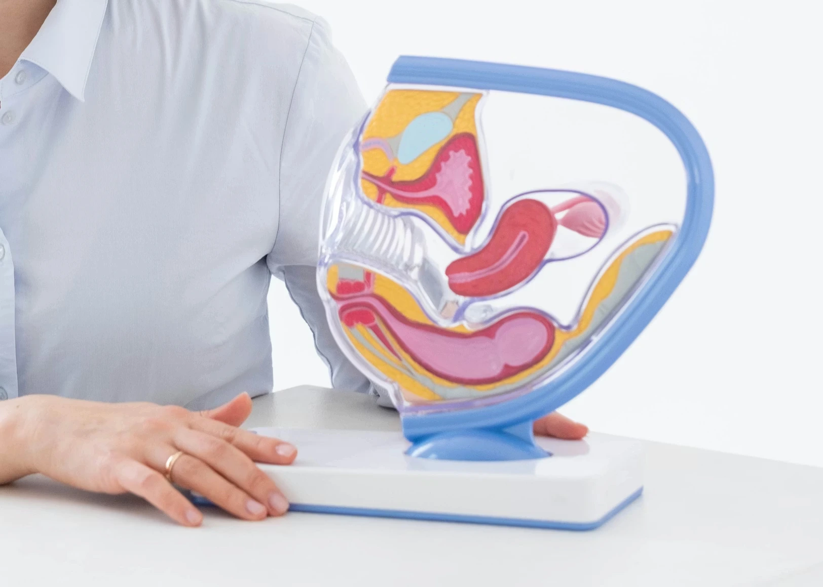 Gynecology Gynecology service at Almahmoud Medical Group in Qatar