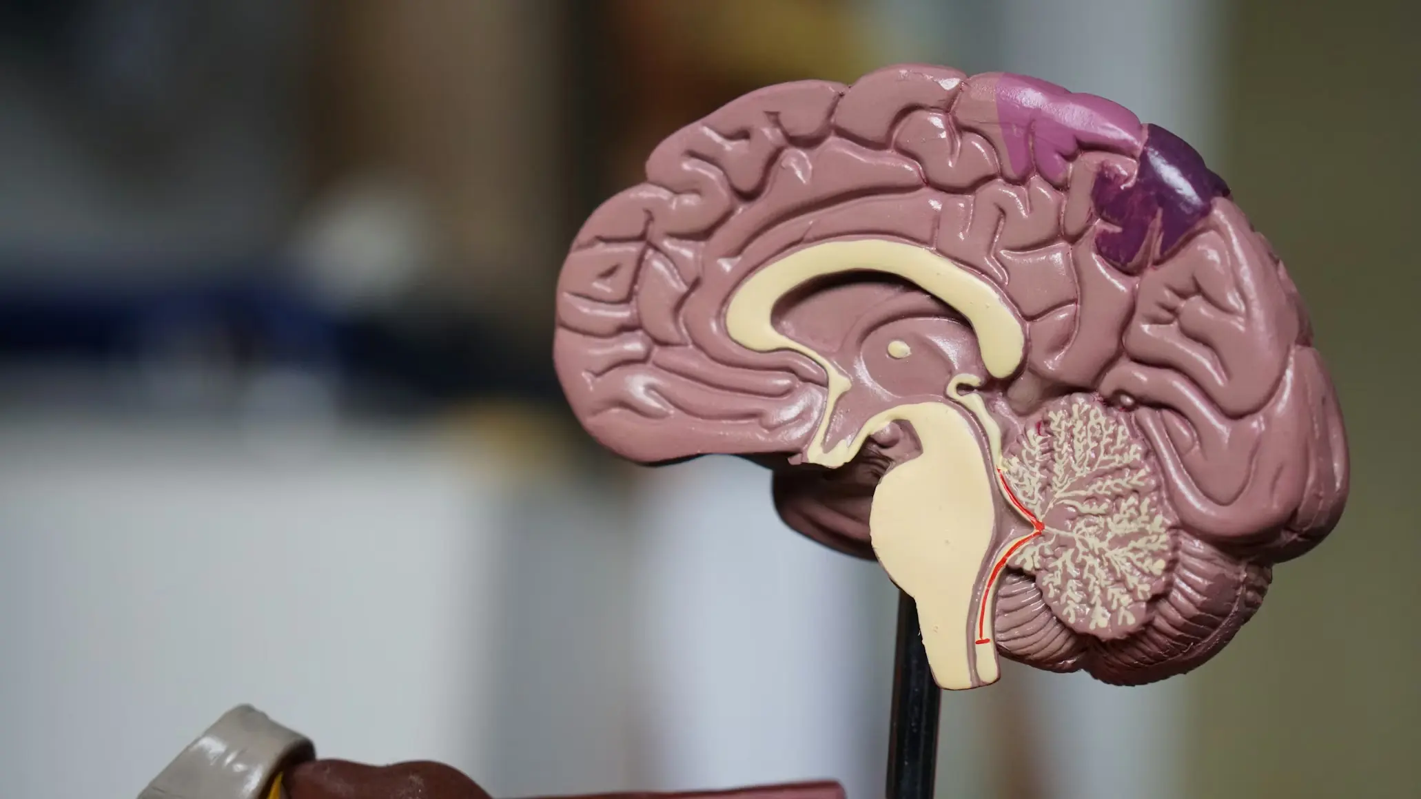 Psychiatry Psychiatry service at Almahmoud Medical Group in Qatar